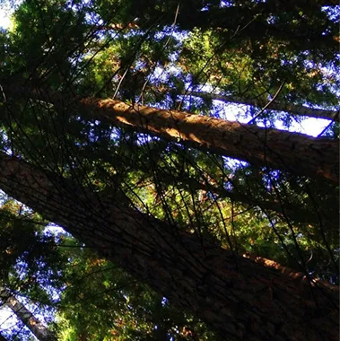 BFR Expertise et Solutions - reverse factoring