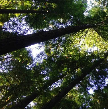 BFR Expertise et Solutions - assurance-crédit