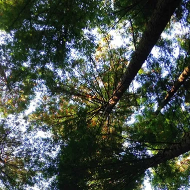 BFR Expertise et Solutions - financement de stock