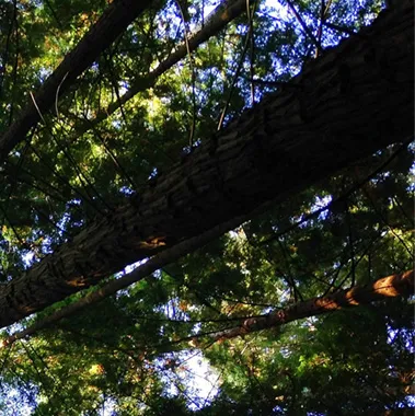 BFR Expertise et Solutions - Leasing