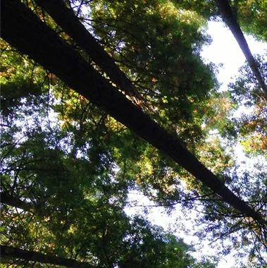 BFR Expertise et Solutions - factoring